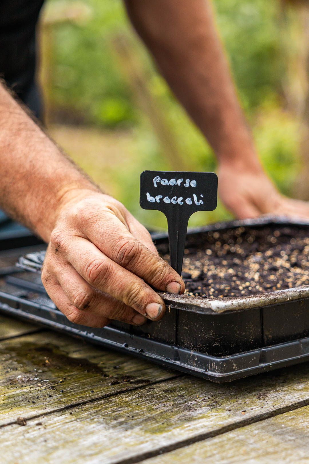 Plantlabel in een kweekbakje