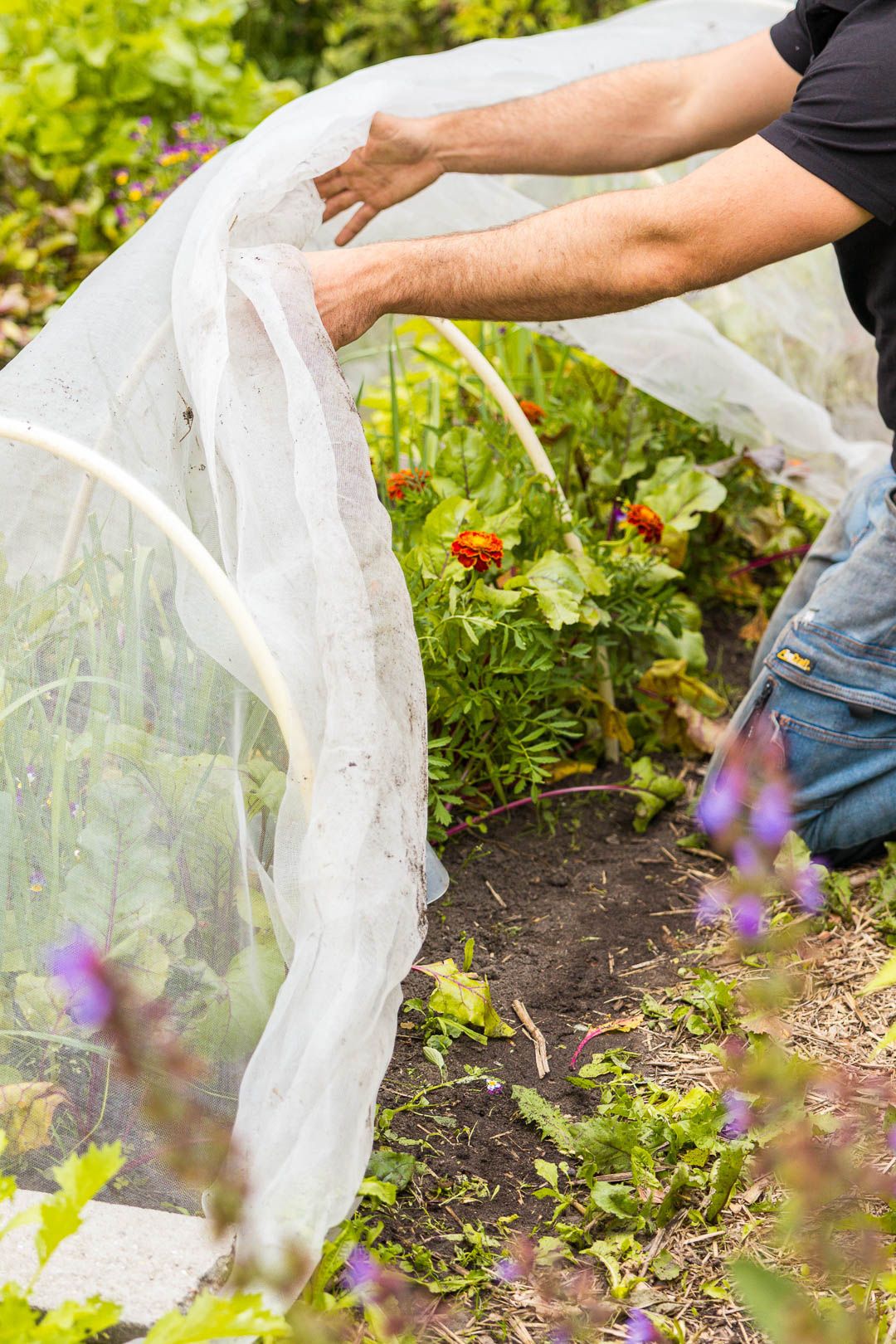 Je moestuin voorbereiden op warme dagen: 5 slimme tips