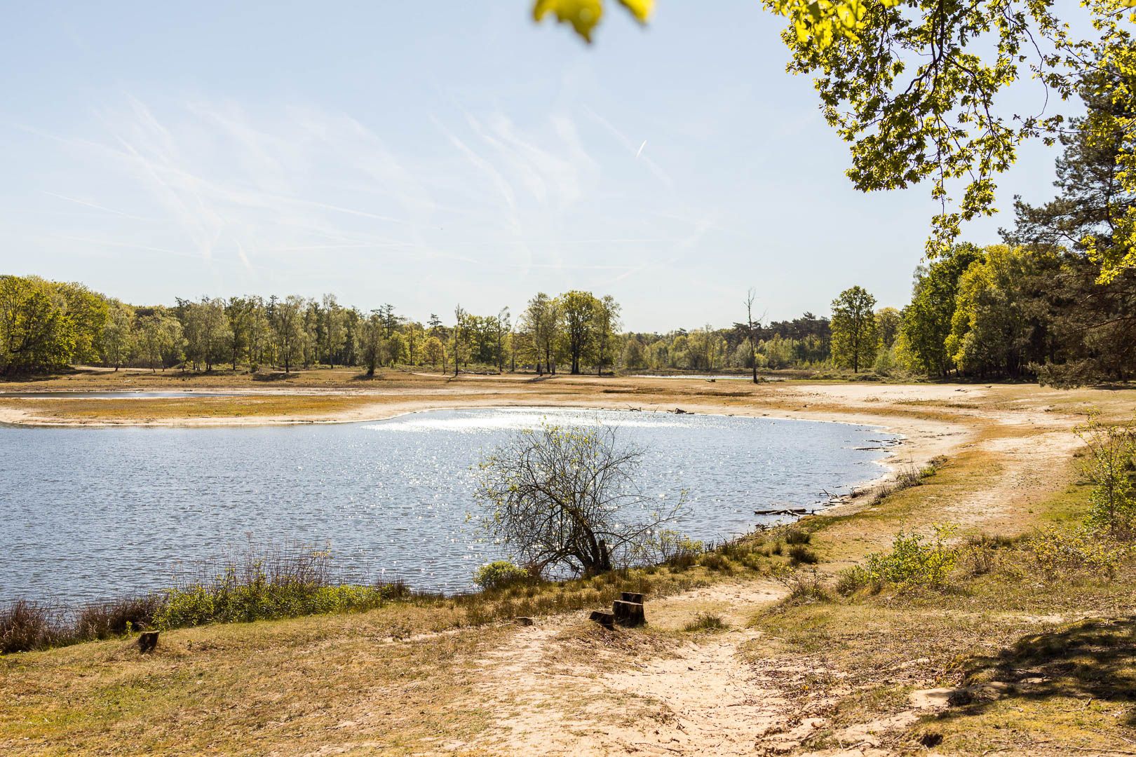Uitzicht over het water bij de Leemputten in Boswachterij Dorst
