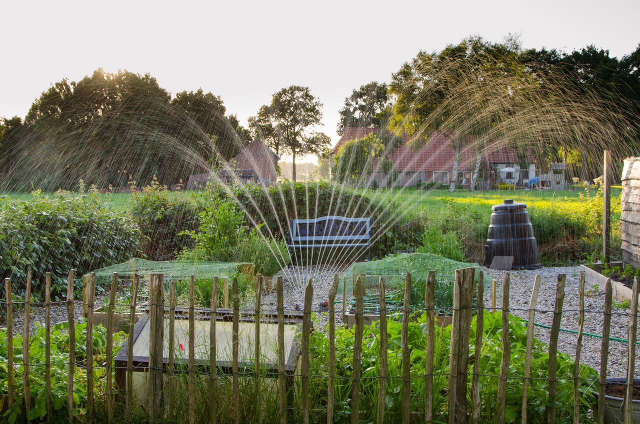 Meeste Nederlanders blijven tuin sproeien ondanks dringend waterbespaaradvies